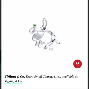Tiffany’s Elephant Charm and Beaded necklace chain